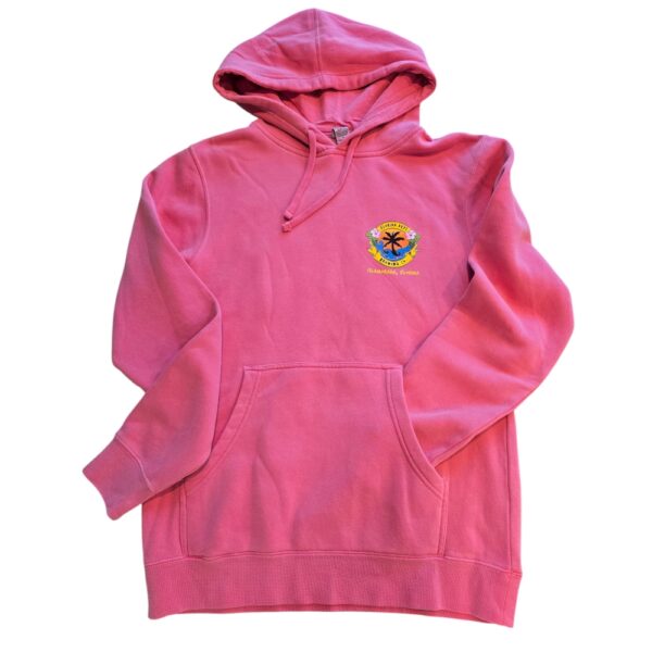 Pink Pull Over Hoodie